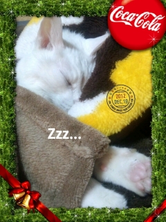 2012-12-19-22-27-02_deco.jpg