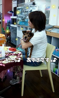 あずきちゃん