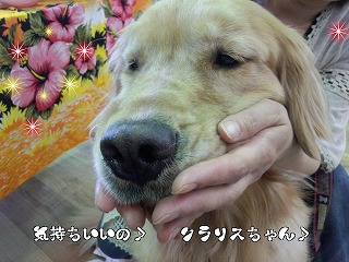 クラリス