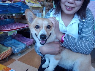 田中ももちゃん
