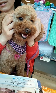 馬場もこちゃん