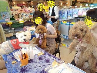 右側 ばばモコちゃん