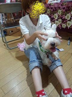酒井まめた君