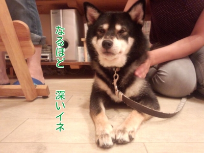 鉄平