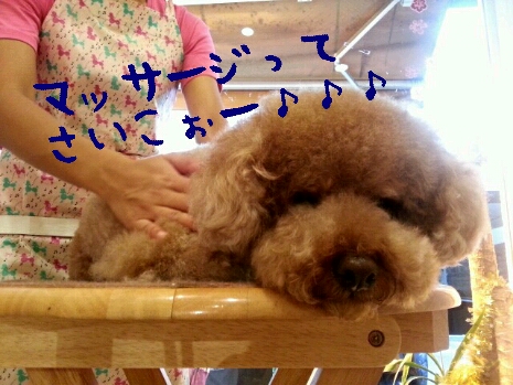 坂東マロン