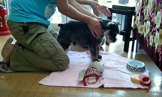 2012_0506_140210_439.jpg