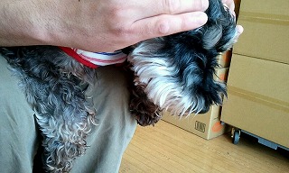 2012_0506_151258_562.jpg