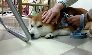 2012_0512_114742_682.jpg