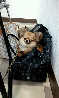 2012_0512_120731_228.jpg
