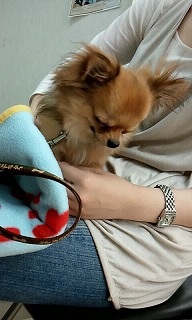 2012_0512_161158_746.jpg