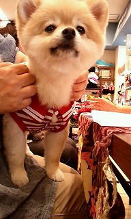 2012_0513_113201_507.jpg