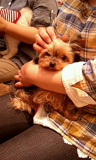2012_0513_113225_623.jpg