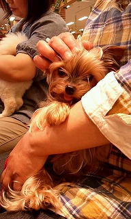 2012_0513_115549_594.jpg