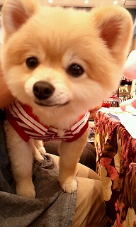 2012_0513_115722_708.jpg