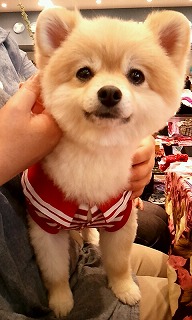 2012_0513_115913_795.jpg