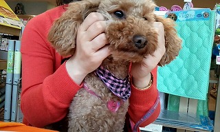 2012_0520_113942_120.jpg