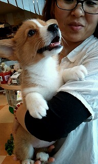 2012_0520_132812_173.jpg