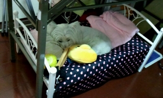 2012_0610_131210_041.jpg