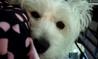 2012_0610_133920_418.jpg