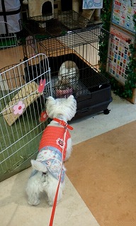 2012_0616_104556_899.jpg