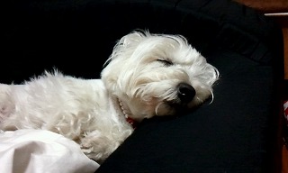 2012_0617_004033_758.jpg