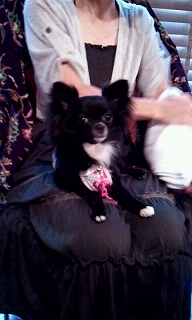 2012_0714_104850_473.jpg