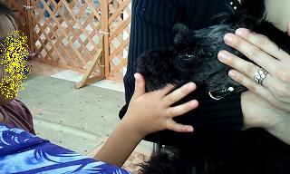 2012_0721_114158_242.jpg