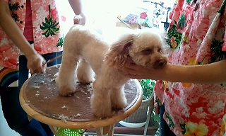 2012_0725_124309_995.jpg