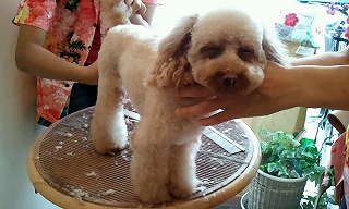 2012_0725_124356_975.jpg
