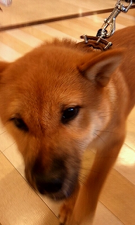 2012_0729_145218_907.jpg