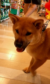 2012_0729_145239_847.jpg