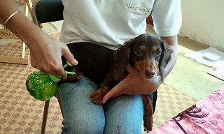 2012_0804_132331_100.jpg