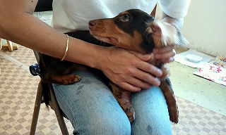 2012_0804_132406_552.jpg