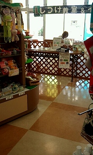 2012_0804_132715_057.jpg