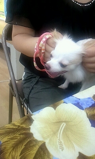 2012_0812_113954_822.jpg