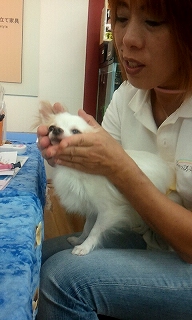 2012_0812_122944_640.jpg