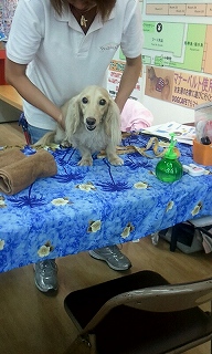 2012_0812_141228_639.jpg