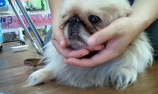 2012_0826_114108_390.jpg