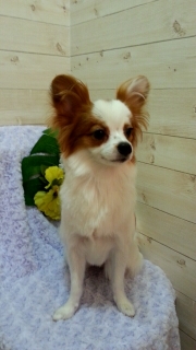 2012_0915_153128_290.jpg