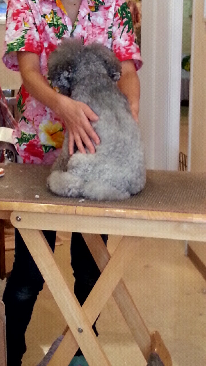2012_0926_113814_041.jpg