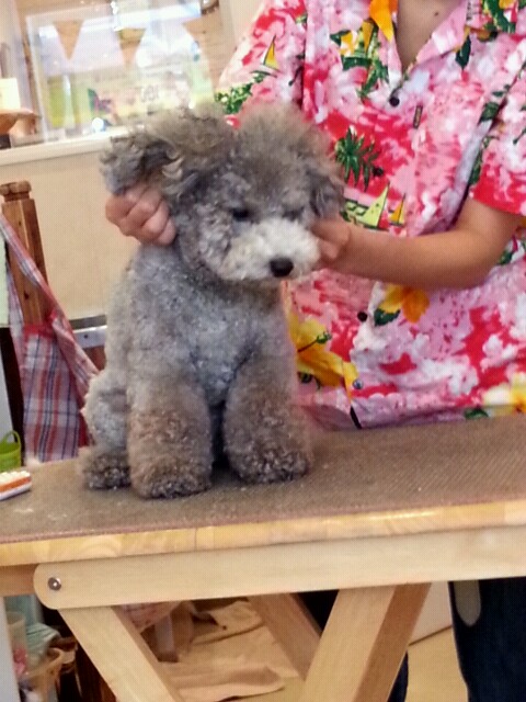 2012_0926_114325_754.jpg