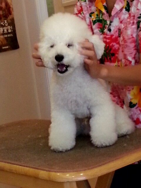 2012_0926_120015_871.jpg