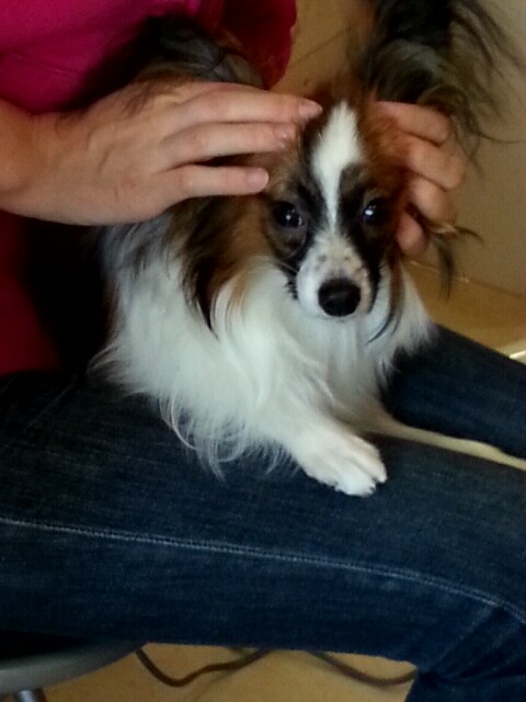 2012_1027_133358_468.jpg