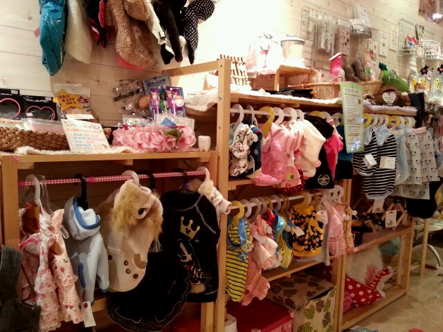 2012_1028_174607_354_20121101184734.jpg