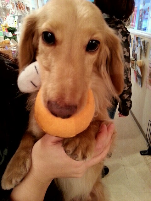 2012_1208_155726_521.jpg