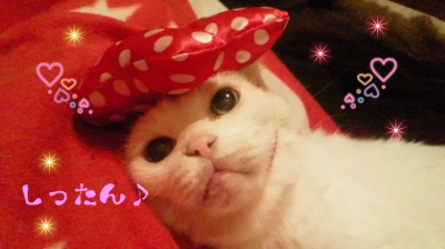 7dUPj_20121006193637.jpg