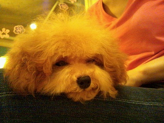 CAENGY4C_20120930212729.jpg