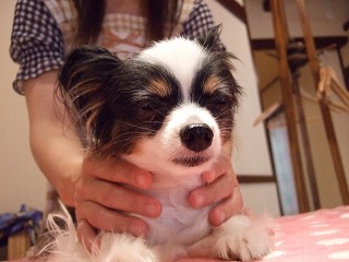 DSCF1338.jpg
