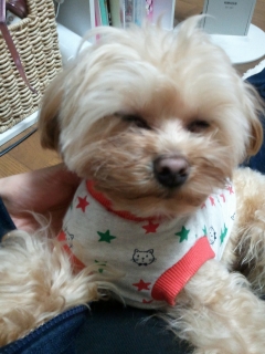 HD_20120705192057.jpg