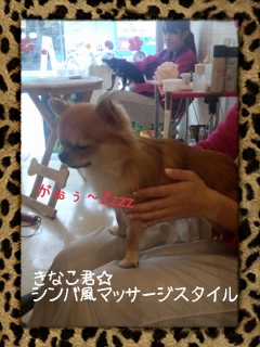 LINEcamera_share_2012-12-21-11-09-33.jpg